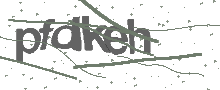 Captcha Bild