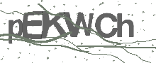 Captcha Bild