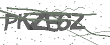 Captcha Bild