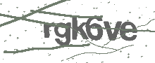 Captcha Bild
