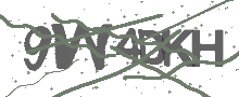 Captcha Bild