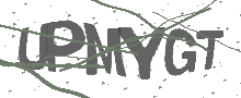 Captcha Bild