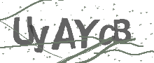 Captcha Bild