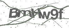 Captcha Bild