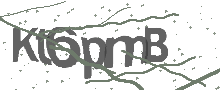 Captcha Bild