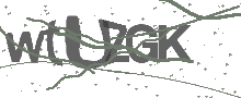 Captcha Bild