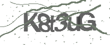 Captcha Bild