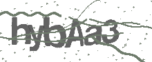 Captcha Bild
