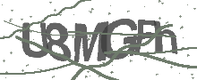 Captcha Bild