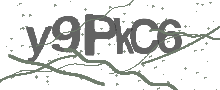 Captcha Bild