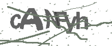 Captcha Bild