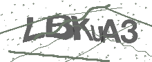 Captcha Bild