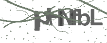 Captcha Bild