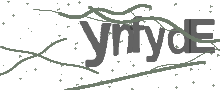 Captcha Bild