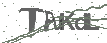 Captcha Bild