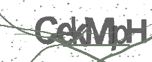 Captcha Bild