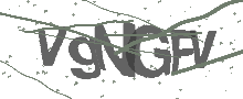 Captcha Bild