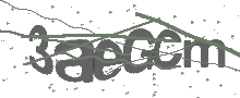 Captcha Bild