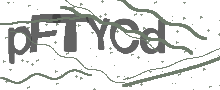 Captcha Bild