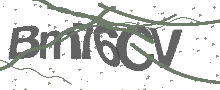 Captcha Bild