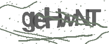 Captcha Bild