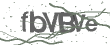 Captcha Bild