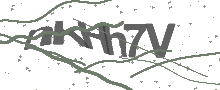 Captcha Bild