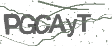 Captcha Bild