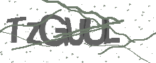 Captcha Bild