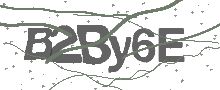 Captcha Bild