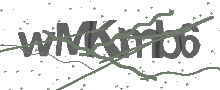 Captcha Bild