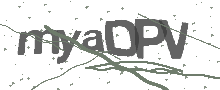 Captcha Bild