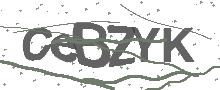 Captcha Bild