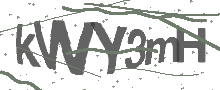 Captcha Bild