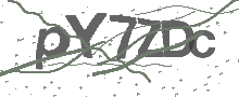 Captcha Bild