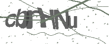 Captcha Bild