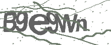 Captcha Bild