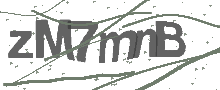 Captcha Bild