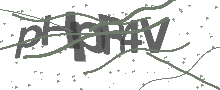 Captcha Bild