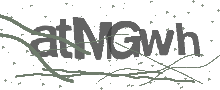 Captcha Bild