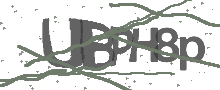 Captcha Bild