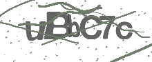 Captcha Bild