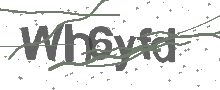 Captcha Bild