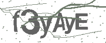 Captcha Bild