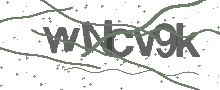 Captcha Bild