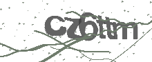 Captcha Bild