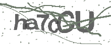 Captcha Bild