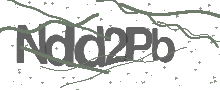Captcha Bild