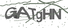 Captcha Bild