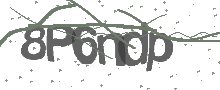 Captcha Bild